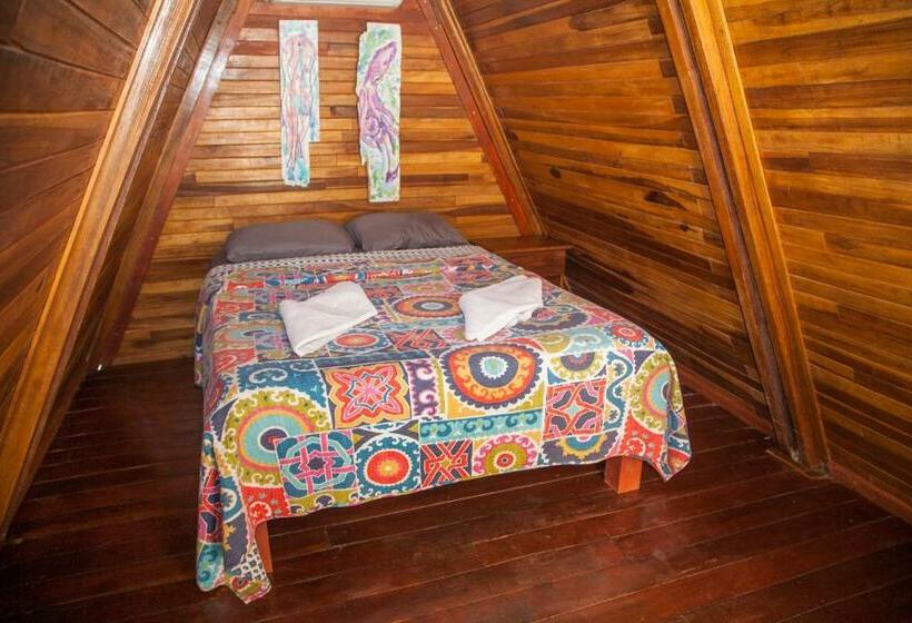 اتاق استاندارد, Playa Grande Surf Camp