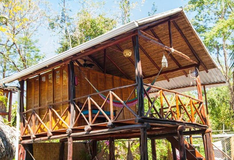 بانگلوی استاندارد, Playa Grande Surf Camp