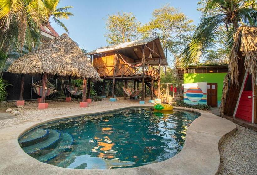 بانگلوی استاندارد, Playa Grande Surf Camp