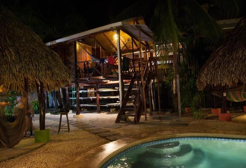 بانگلوی استاندارد, Playa Grande Surf Camp