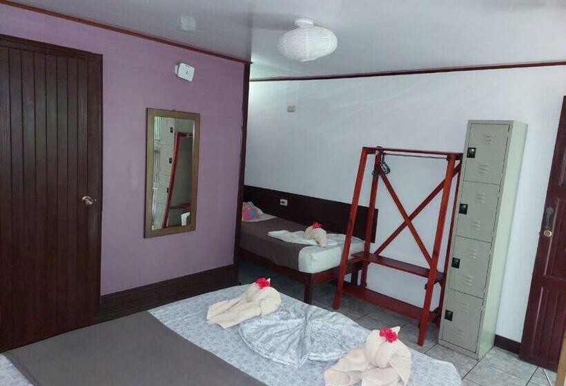 اتاق ساده سه‌ نفره, Aracari Garden Hostel