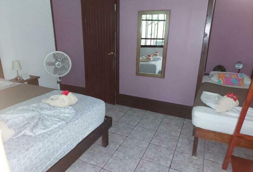 اتاق ساده سه‌ نفره, Aracari Garden Hostel