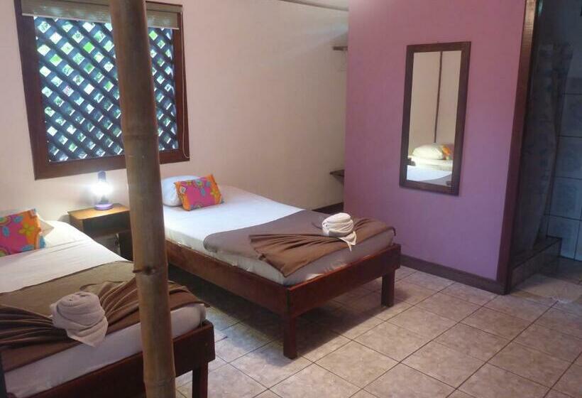 اتاق عادی, Aracari Garden Hostel