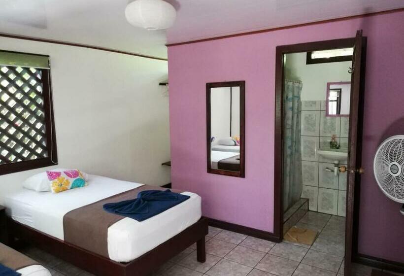 اتاق عادی, Aracari Garden Hostel