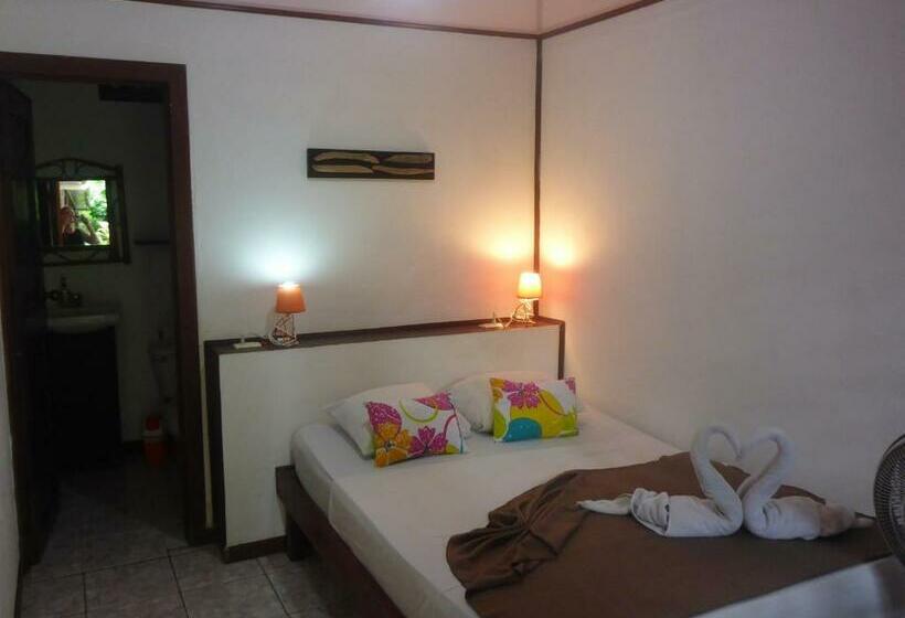 اتاق عادی یک تخته, Aracari Garden Hostel