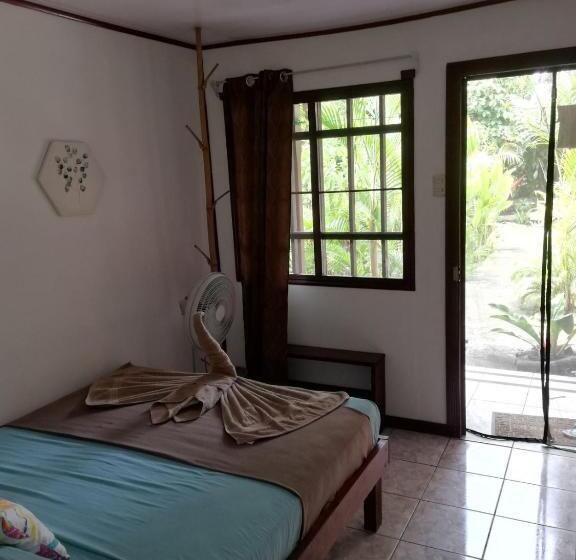 اتاق عادی یک تخته, Aracari Garden Hostel