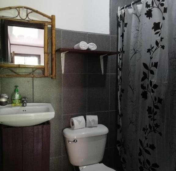 اتاق عادی یک تخته, Aracari Garden Hostel