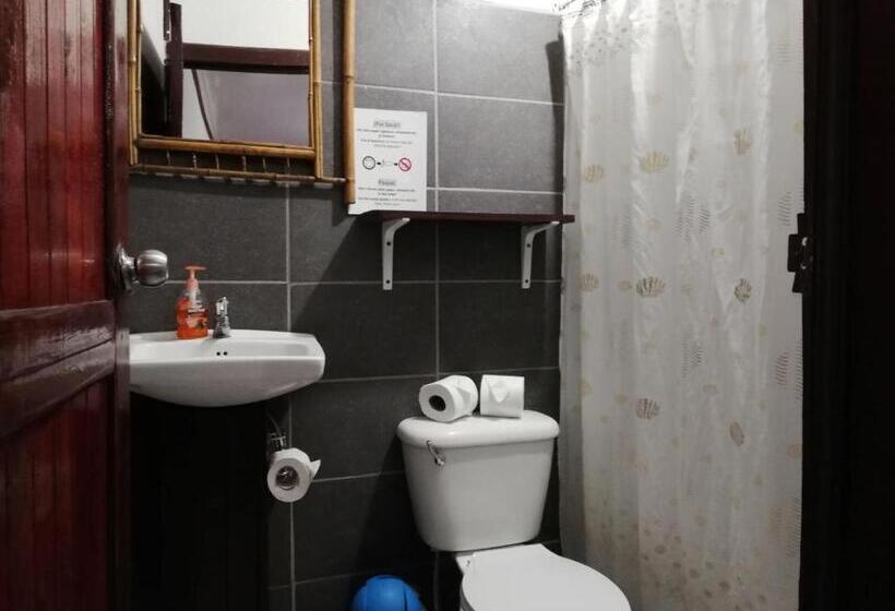 تختخواب در اتاق مشترک, Aracari Garden Hostel