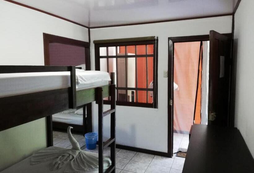 تختخواب در اتاق مشترک, Aracari Garden Hostel