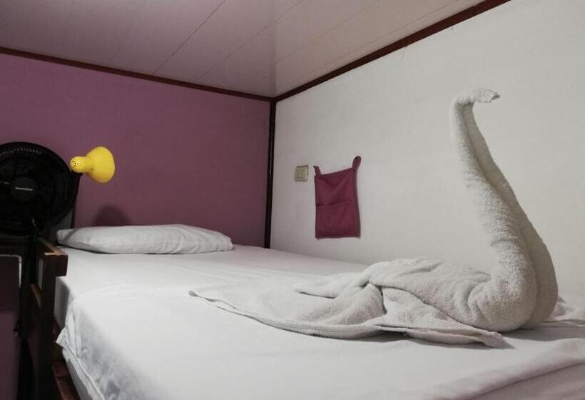 تختخواب در اتاق مشترک, Aracari Garden Hostel
