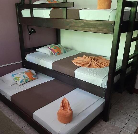 اتاق خانوادگی پایه, Aracari Garden Hostel
