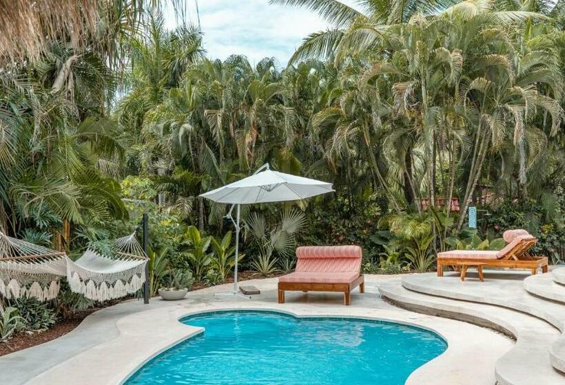 ویلای 1 خوابه, Banana Beach Bungalows