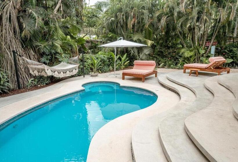 ویلای 1 خوابه, Banana Beach Bungalows