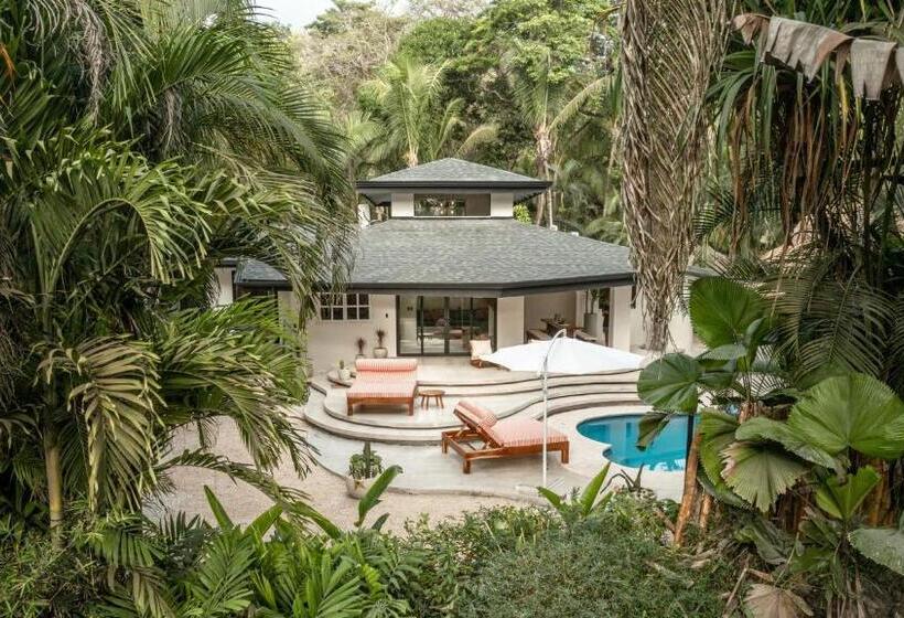 ویلای 1 خوابه, Banana Beach Bungalows