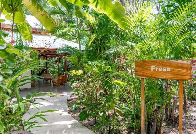 بانگلوی لوکس, Banana Beach Bungalows