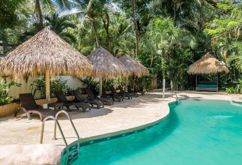 کابین, Banana Beach Bungalows