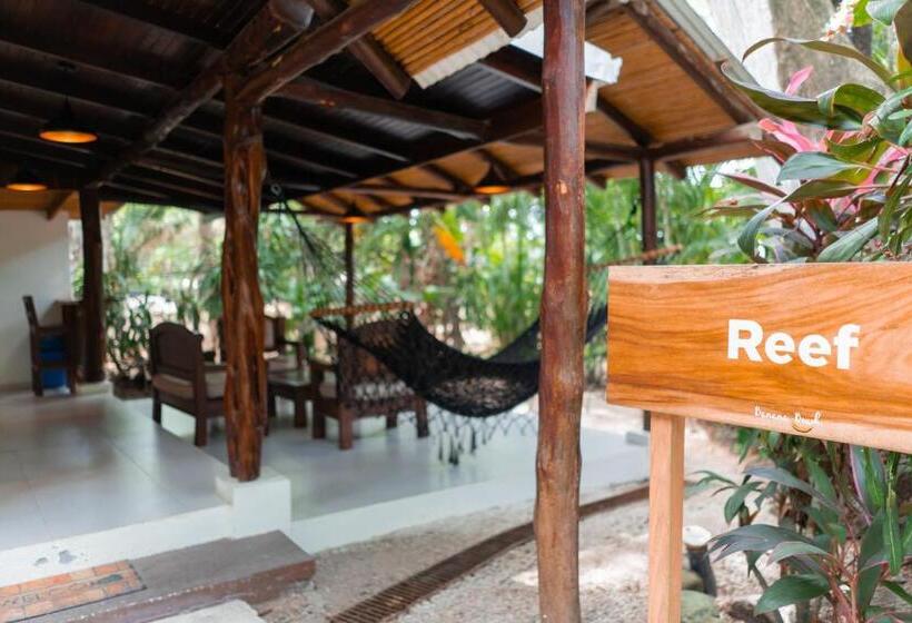 بانگلوی استاندارد, Banana Beach Bungalows