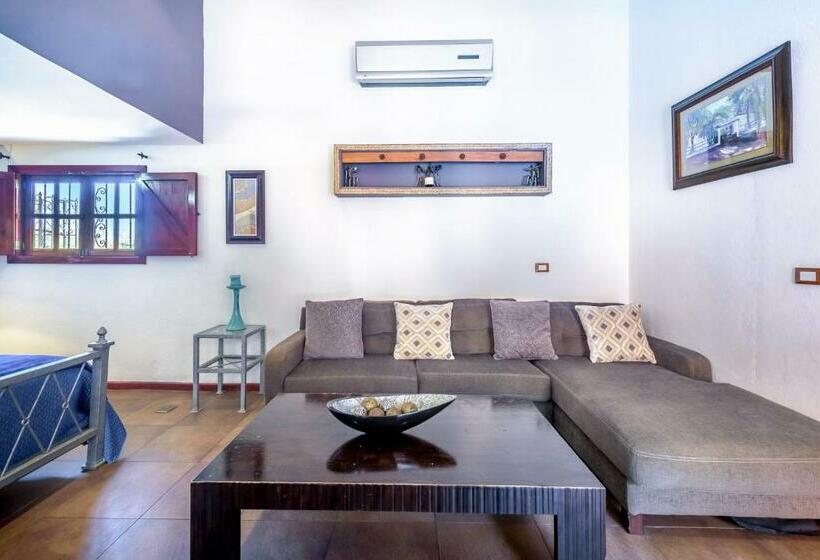 اتاق سوپریور, Casa Leona