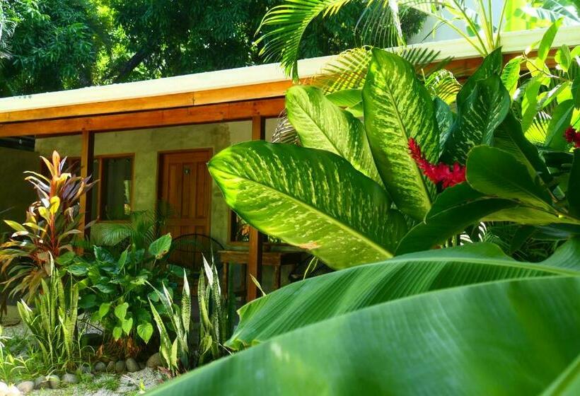 اتاق استاندارد چهار تخته, Cabinas Playa Surf Hostel