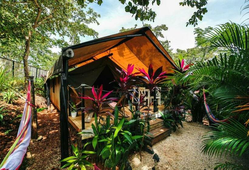 اتاق لوکس چهار تخته, Glamping Hotel Flor Y Bambu