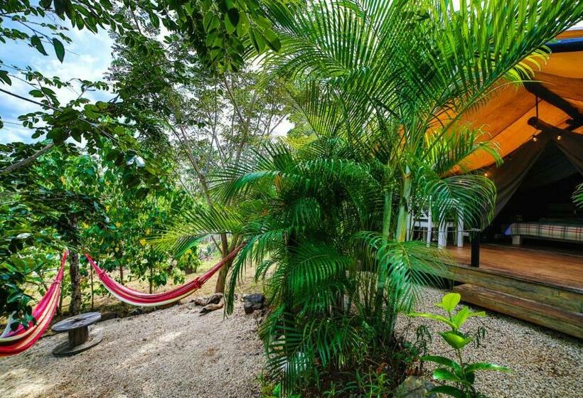 اتاق لوکس, Glamping Hotel Flor Y Bambu