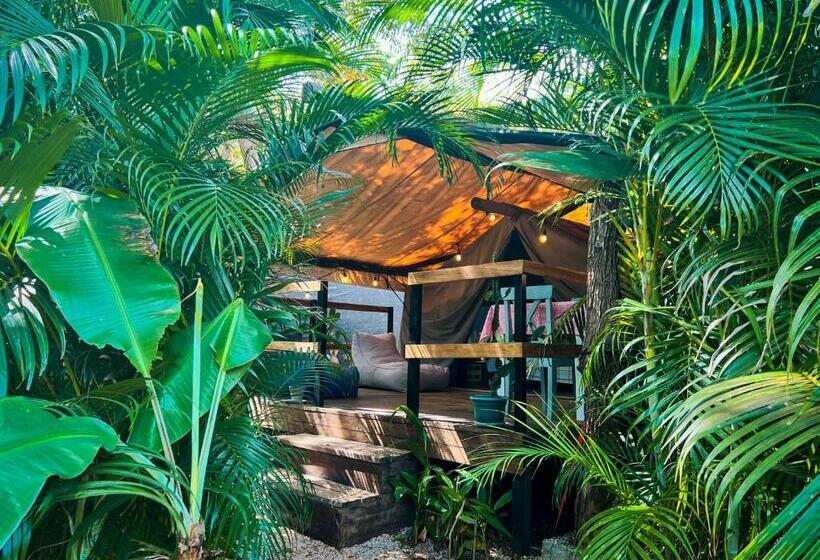 اتاق لوکس, Glamping Hotel Flor Y Bambu