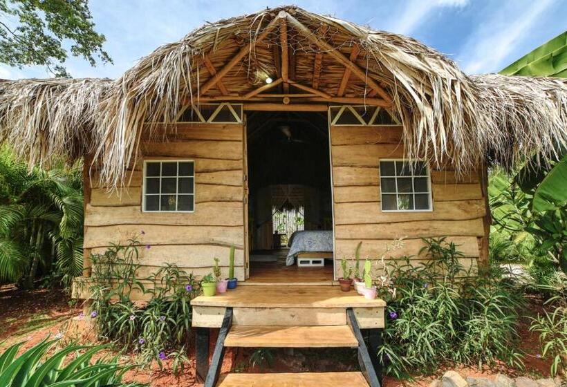 کلبه ییلاقی, Glamping Hotel Flor Y Bambu