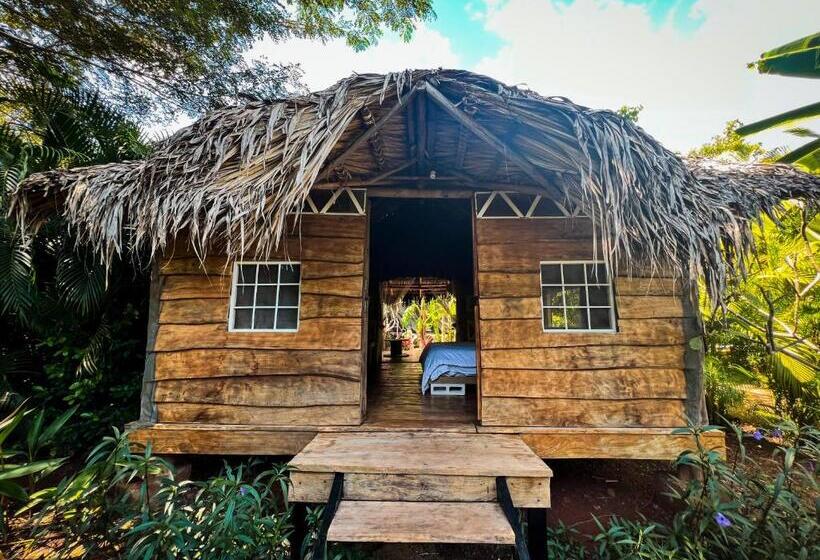 کلبه ییلاقی, Glamping Hotel Flor Y Bambu