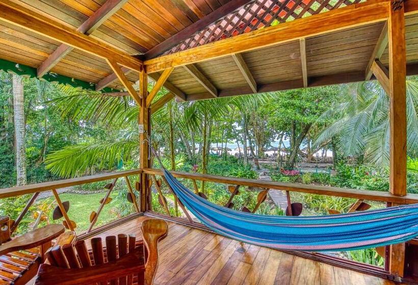 سوییت, Banana Azul  Adults Only