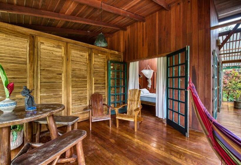 اتاق استاندارد, Banana Azul  Adults Only