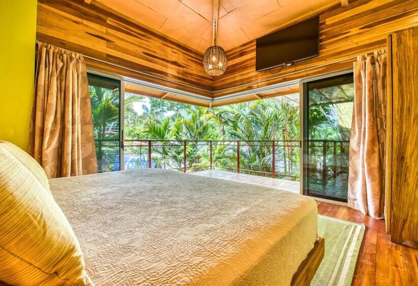 ویلای یک اتاق خوابه با استخر شنا, Banana Azul  Adults Only
