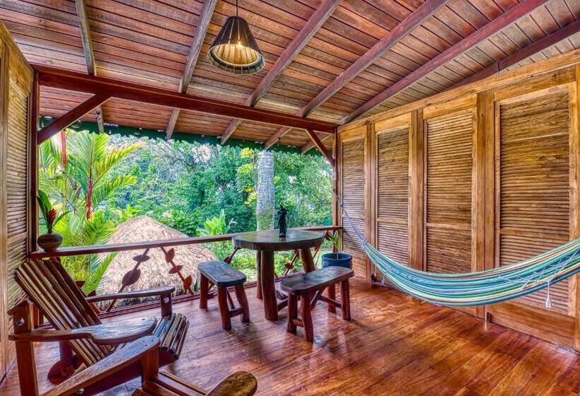 اتاق استاندارد, Banana Azul  Adults Only