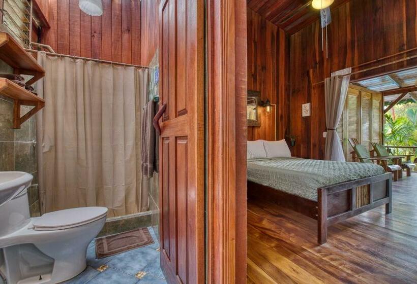 اتاق استاندارد, Banana Azul  Adults Only