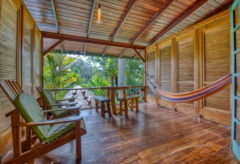 اتاق استاندارد, Banana Azul  Adults Only