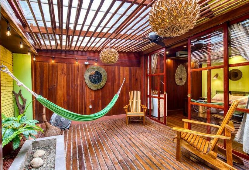 اتاق استاندارد, Banana Azul  Adults Only