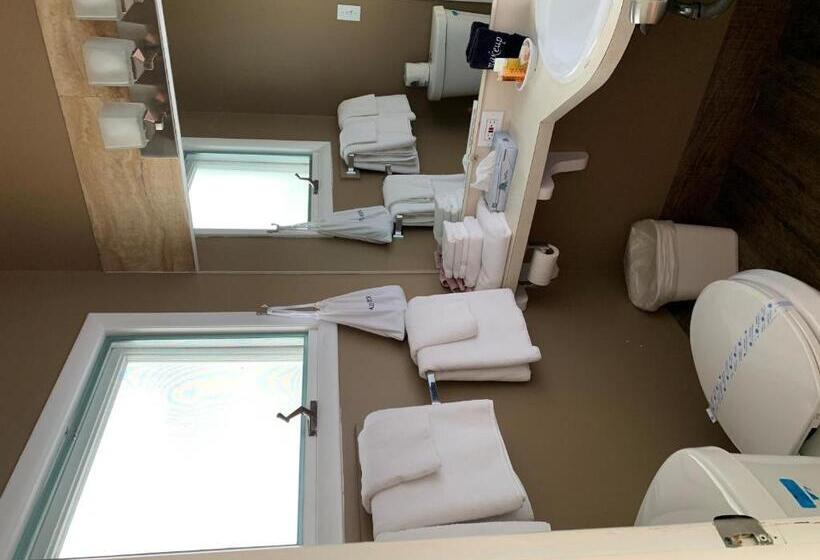 اتاق استاندارد با تخت بزرگ, Beachfront Inn