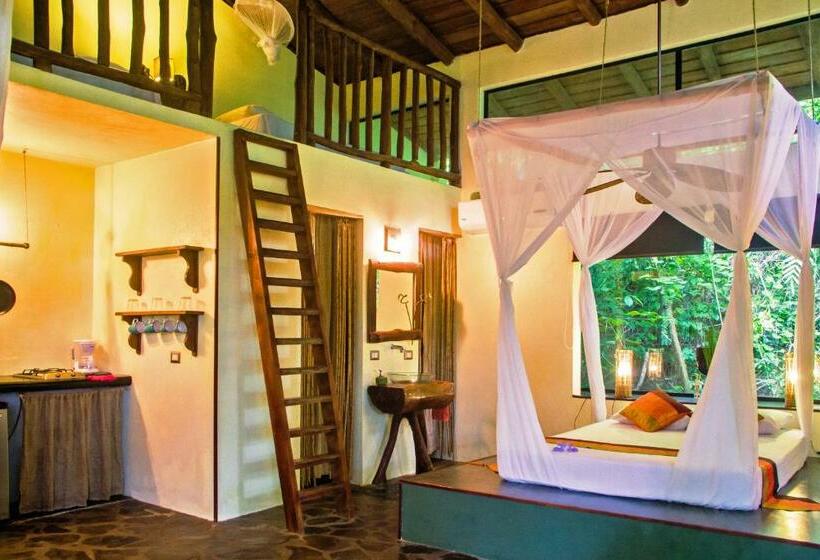 سوییت, Canaima Chill House