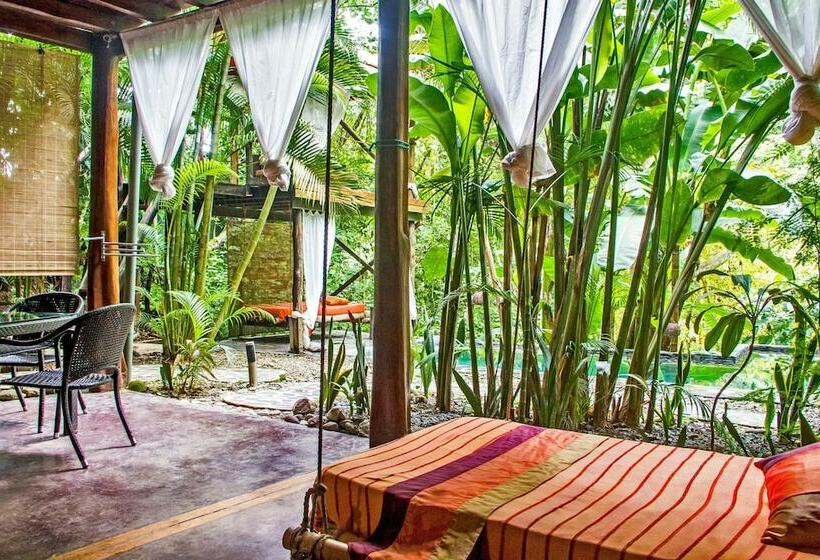 سوییت, Canaima Chill House