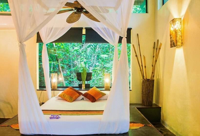 سوییت, Canaima Chill House
