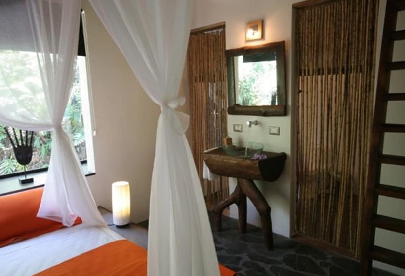 سوییت, Canaima Chill House
