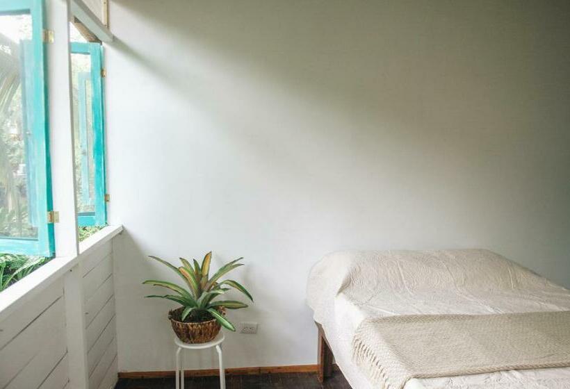 اتاق استاندارد, Casa Bohö