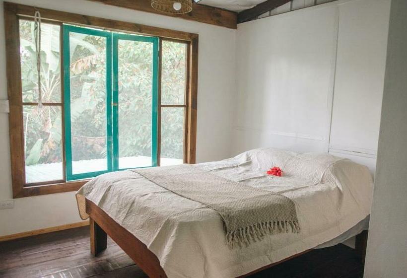 اتاق استاندارد, Casa Bohö