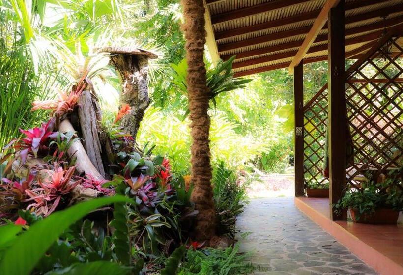 اتاق استاندارد با چشم‌انداز باغ, Casa Merlin