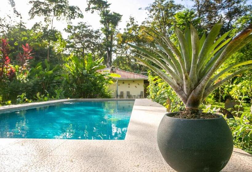 اتاق استاندارد با تراس, Casa Merlin