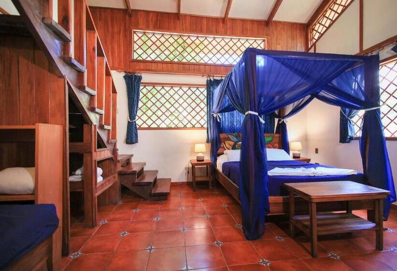 آپارتمان 2 خوابه با تراس, Casa Merlin