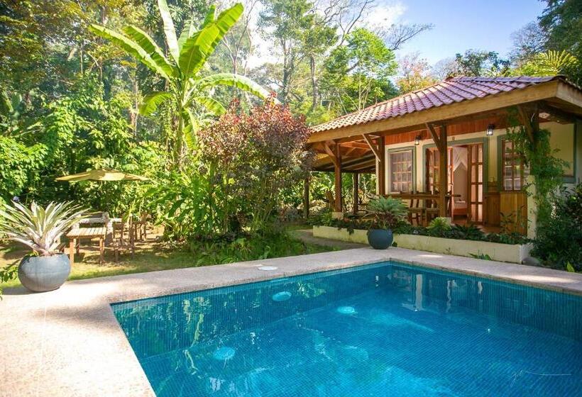 بنگله خانوادگی, Casa Merlin
