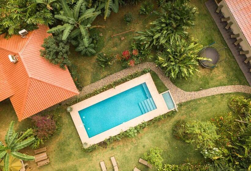 بنگله خانوادگی, Casa Merlin