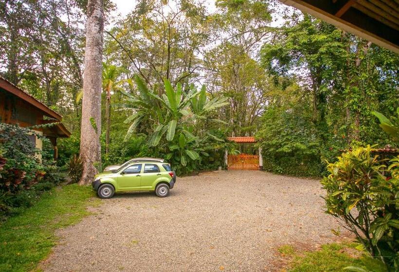 آپارتمان 1 خوابه, Casa Merlin