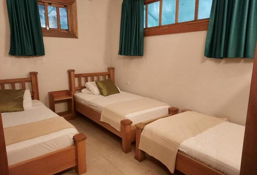 بانگلوی لوکس, Casa Merlin