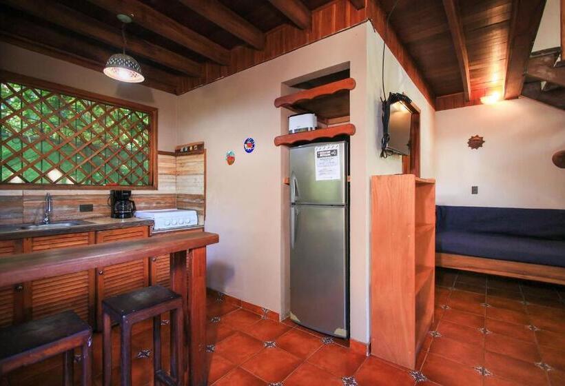 آپارتمان 2 خوابه با تراس, Casa Merlin